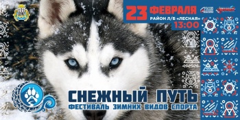 На городском фестивале «Снежный путь» представят новую дисциплину ездового спорта